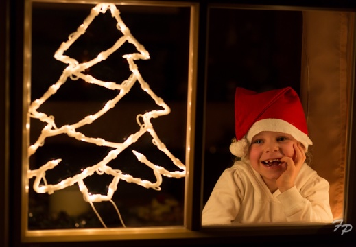IMG 0317 (14343 visits, rating score 4.77) Motiv für unsere Weihnachts-Glückwunschkarte IMG 0317